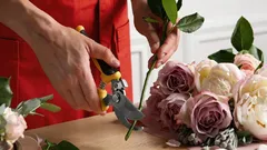 Ze verwelken nooit: een tuinier vertelt hoe je bloemen op de juiste manier afsnijdt