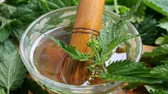 Hoe je gewone brandnetel verandert in een nuttige meststof: recept voor een voedzaam aftreksel