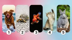 Wat je keuze voor een huisdier over je zegt: een test die je persoonlijkheid onthult