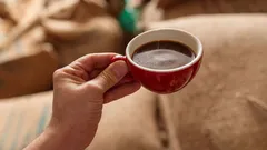 Expert raadt af om direct na het opstaan koffie te drinken: hoe lang kun je beter wachten?
