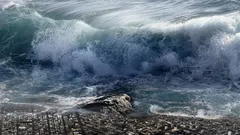 Een asteroïde veroorzaakte een megatsunami voor de kust van Europa: waar en wanneer gebeurde dat?